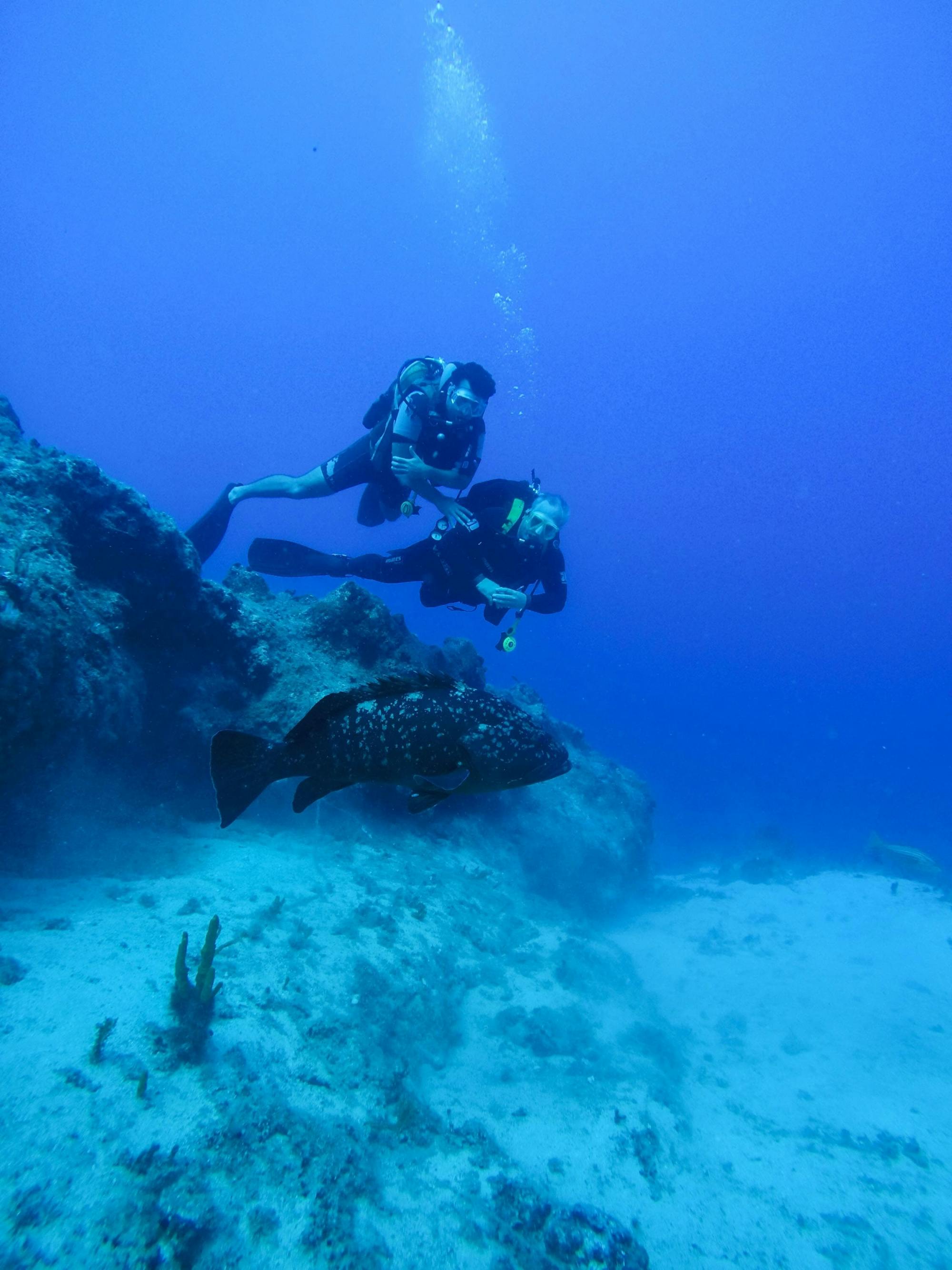 Marmaris scuba diving