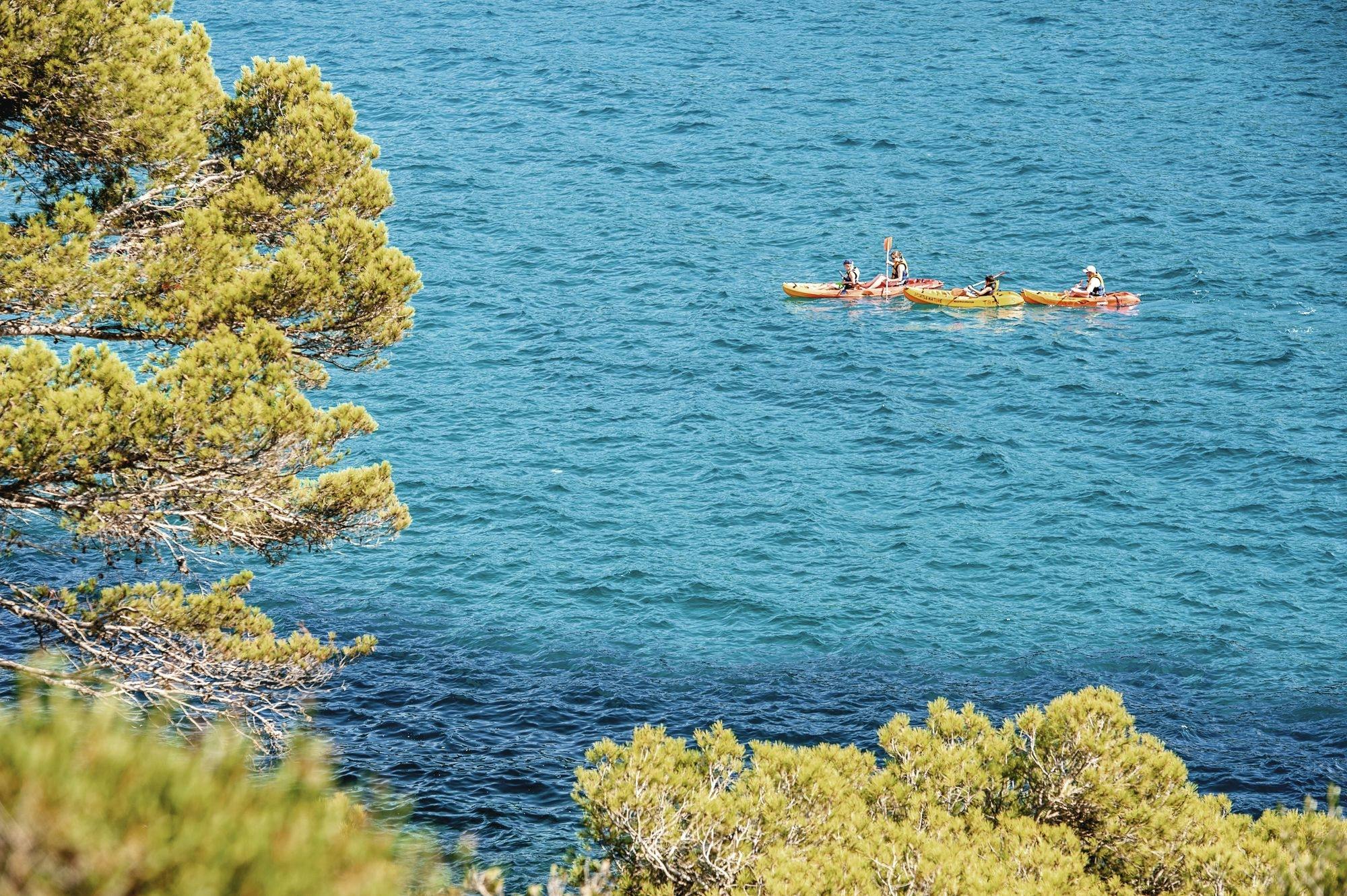 Full-day Khao Sok National Park with long-tail boat cruise from Khao Lak
