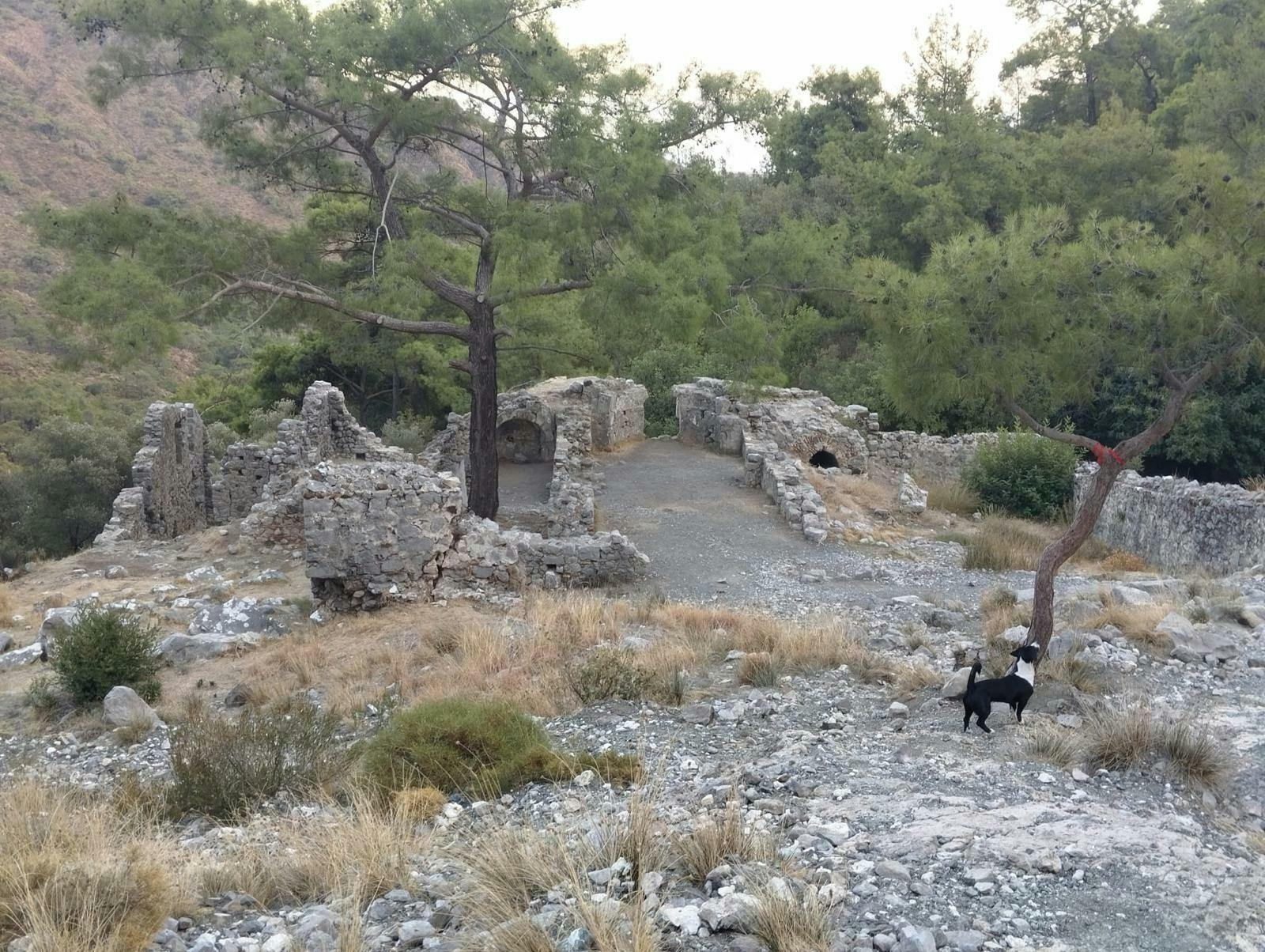 Afternoon 4x4 tour of Olympos & Yanartaş from Kemer