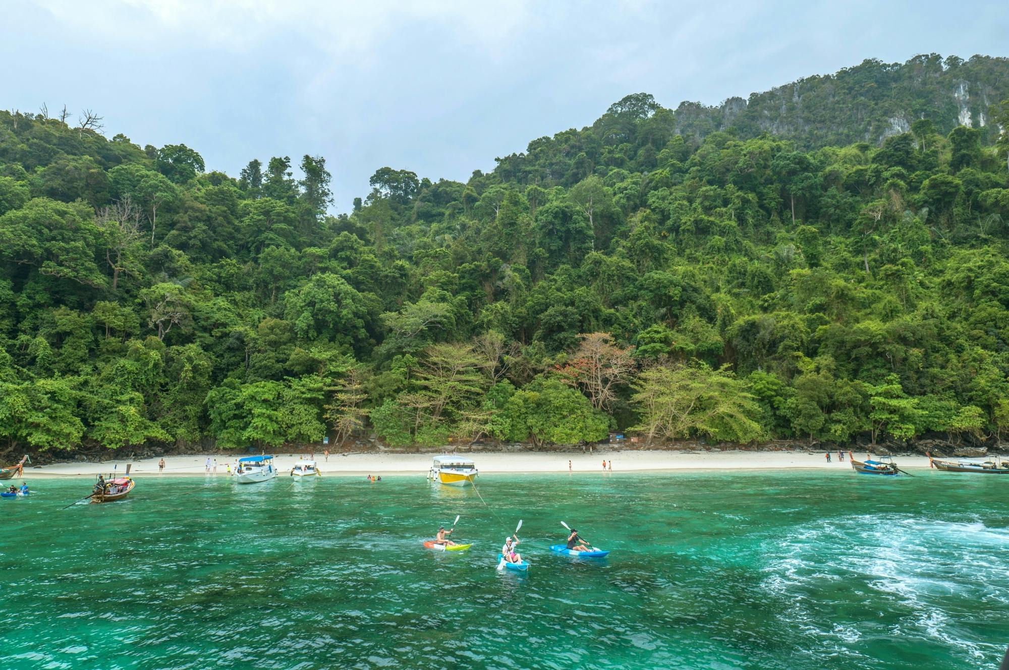 Full-day Phi Phi and Bamboo Islands power catamaran tour from Phuket
