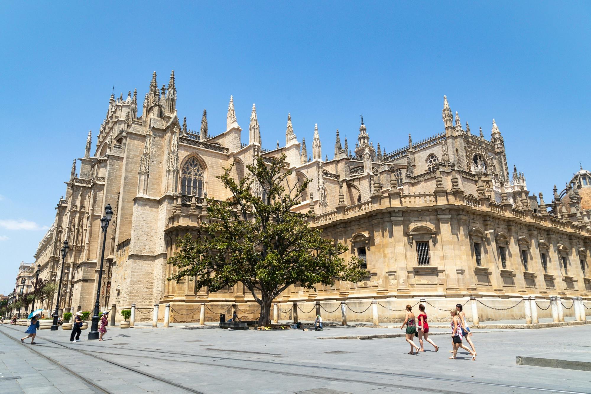 Seville highlights tour with Las Setas and Las Duenas Palace