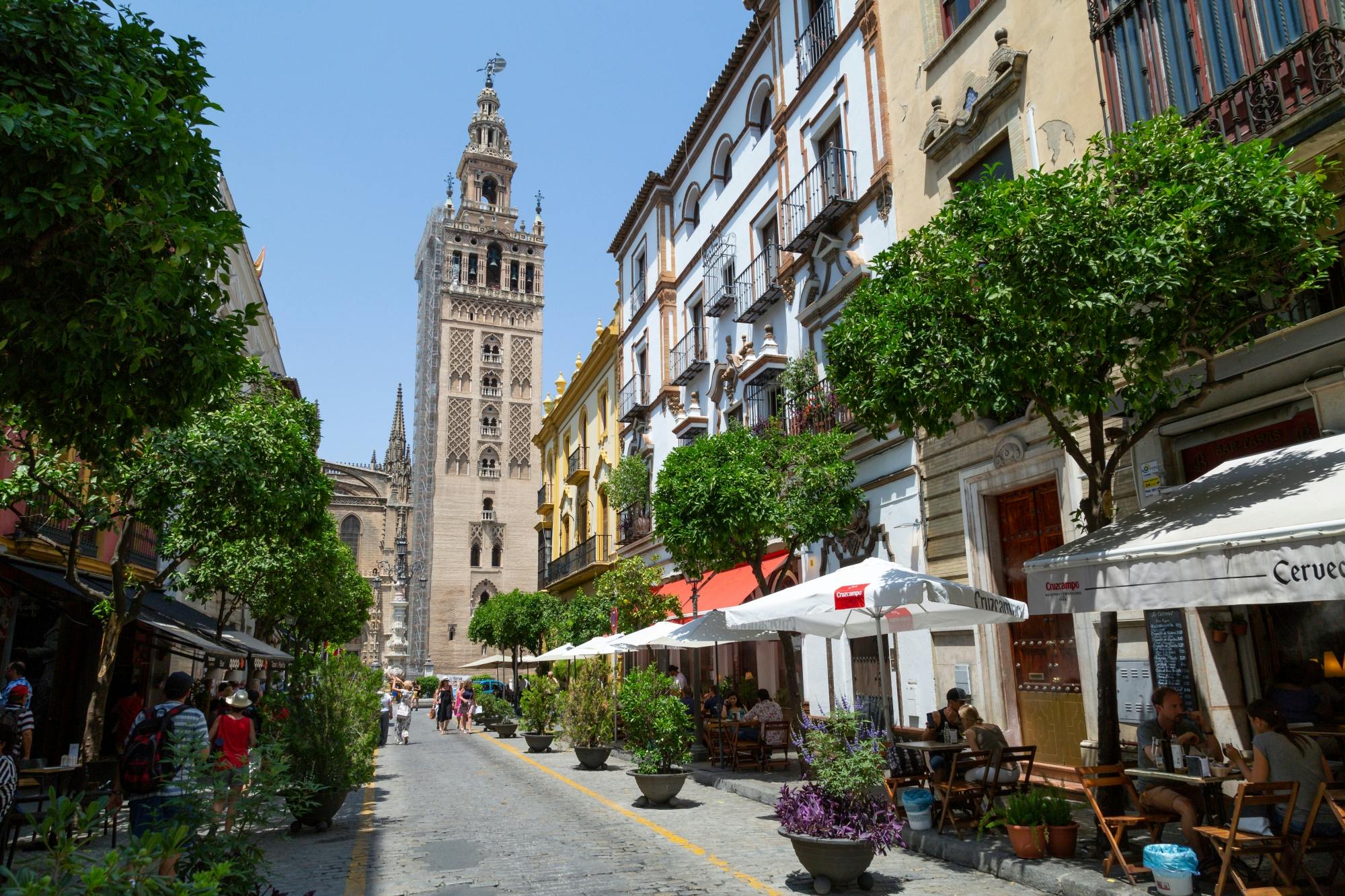 Seville highlights tour with Las Setas and Las Duenas Palace