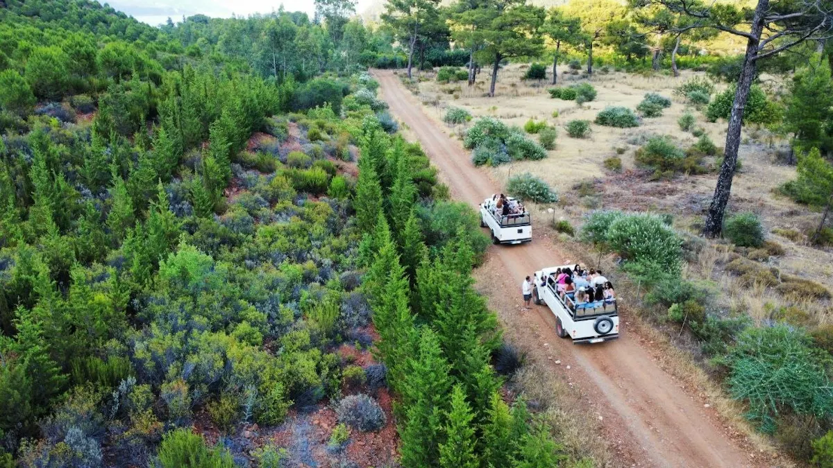 Afternoon 4x4 tour of Olympos & Yanartaş from Kemer
