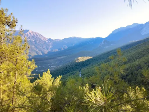 Afternoon 4x4 tour of Olympos & Yanartaş from Kemer
