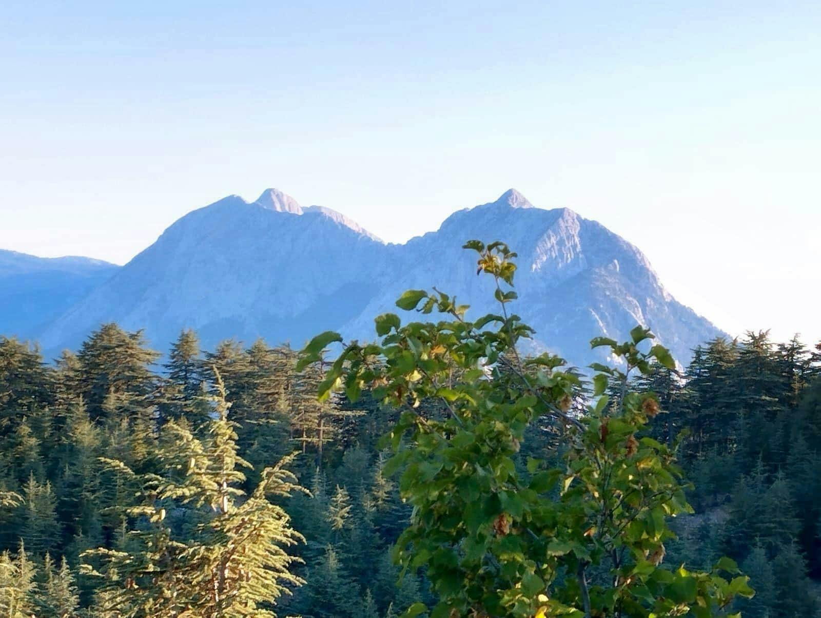 Afternoon 4x4 tour of Olympos & Yanartaş from Kemer