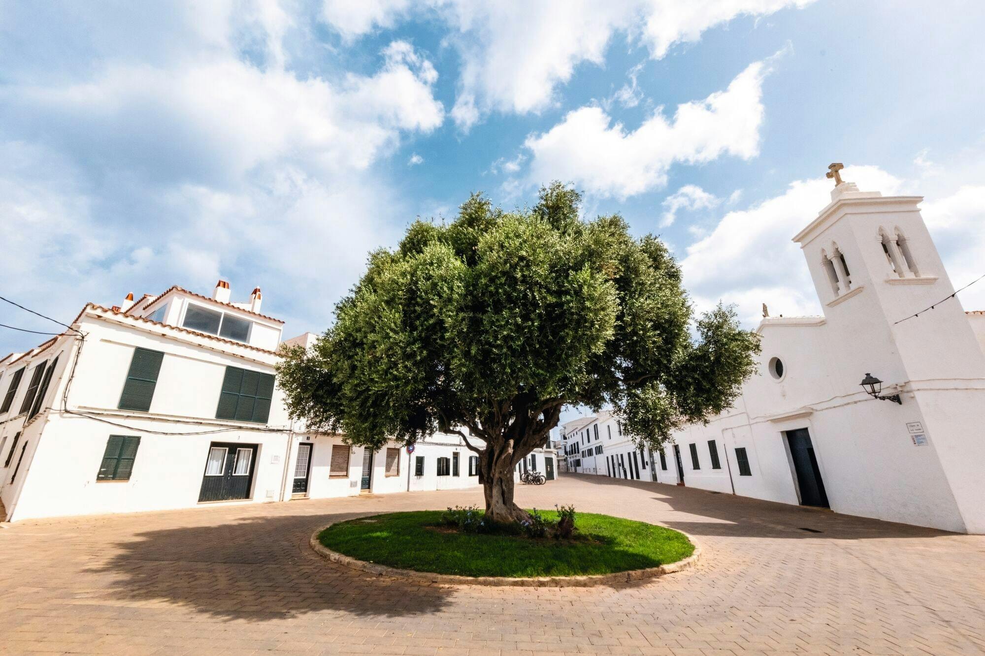 Full-day Menorca countryside tour with cheese-tastings