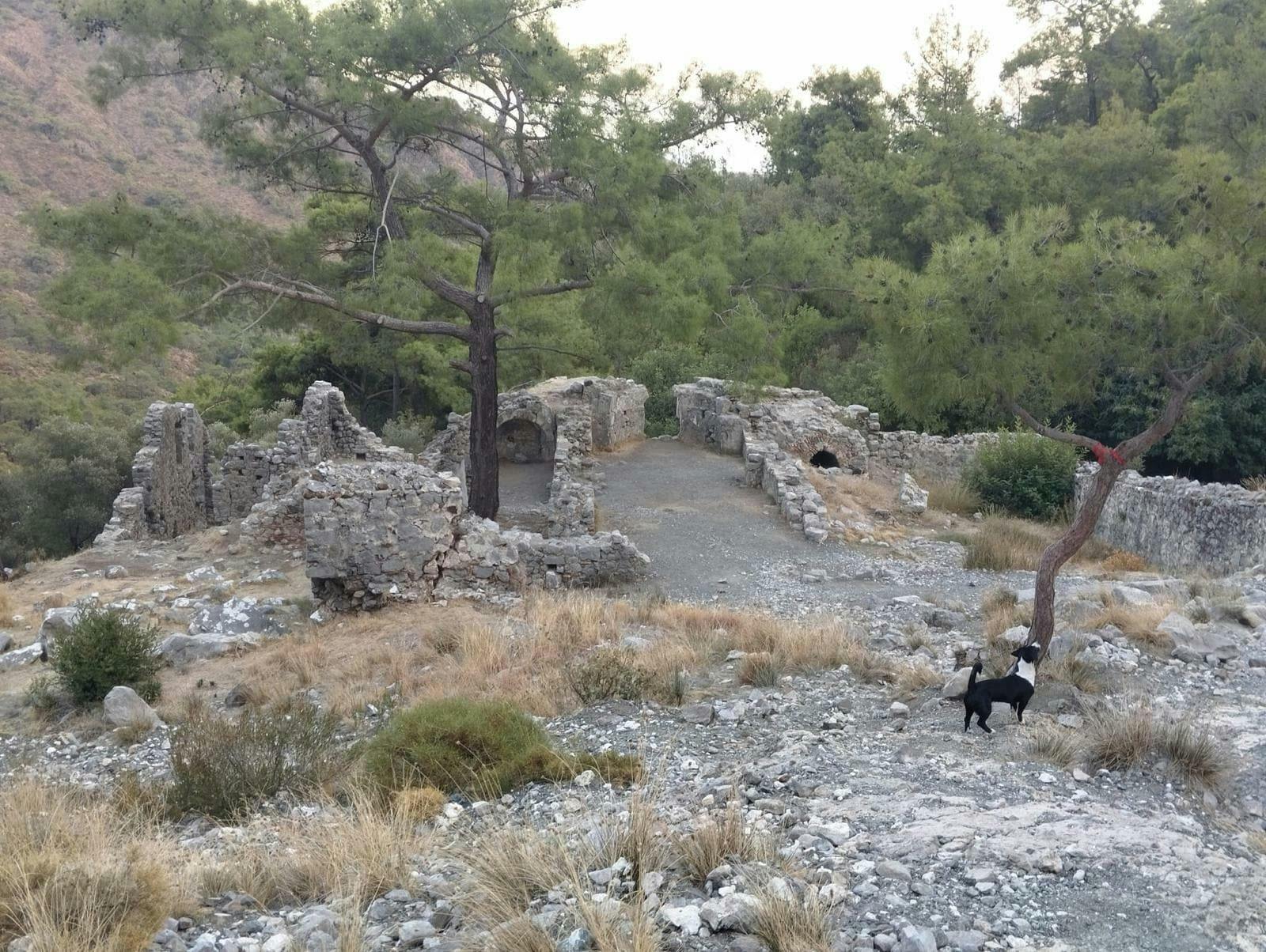 Afternoon 4x4 tour of Olympos & Yanartaş from Kemer