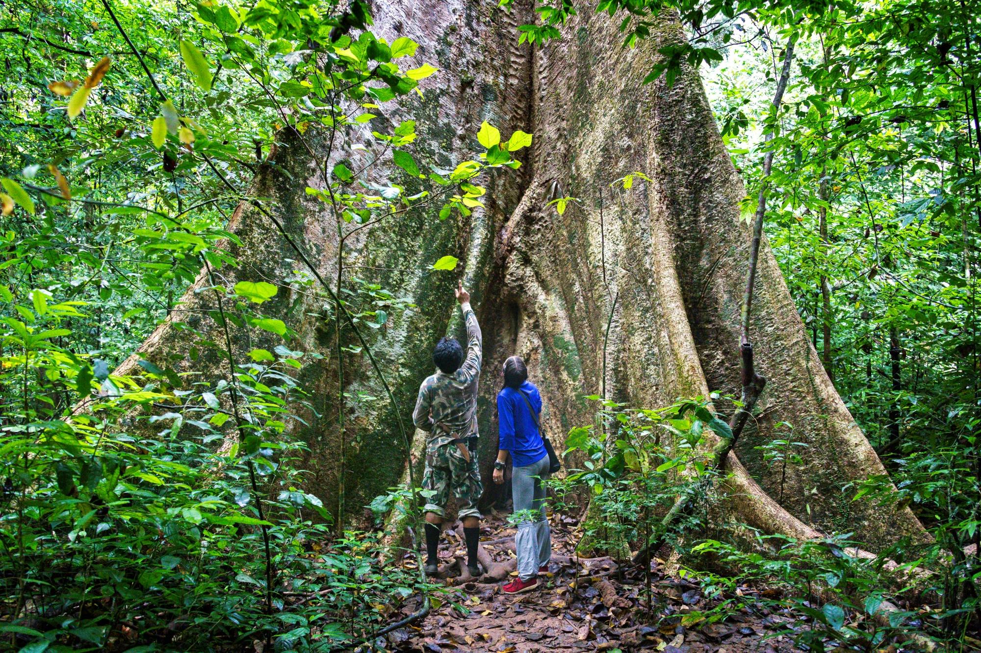 Full-day Khao Sok National Park with long-tail boat cruise from Khao Lak