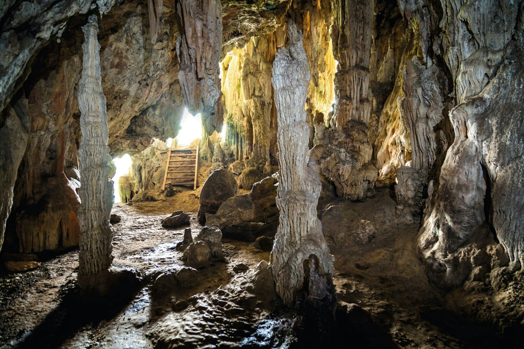 Full-day Khao Sok National Park with long-tail boat cruise from Khao Lak