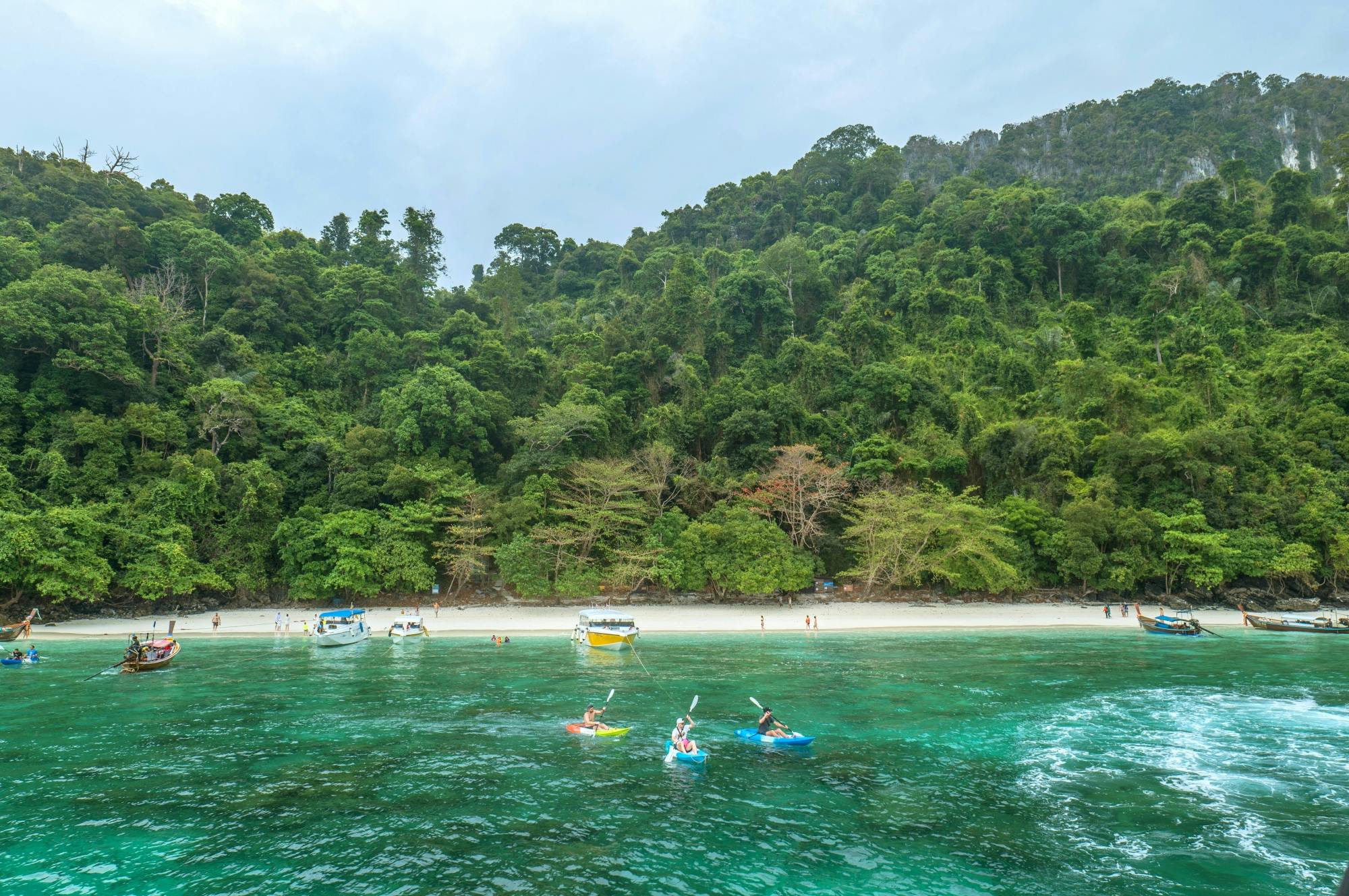 Full-day Phi Phi and Bamboo Islands power catamaran tour from Phuket