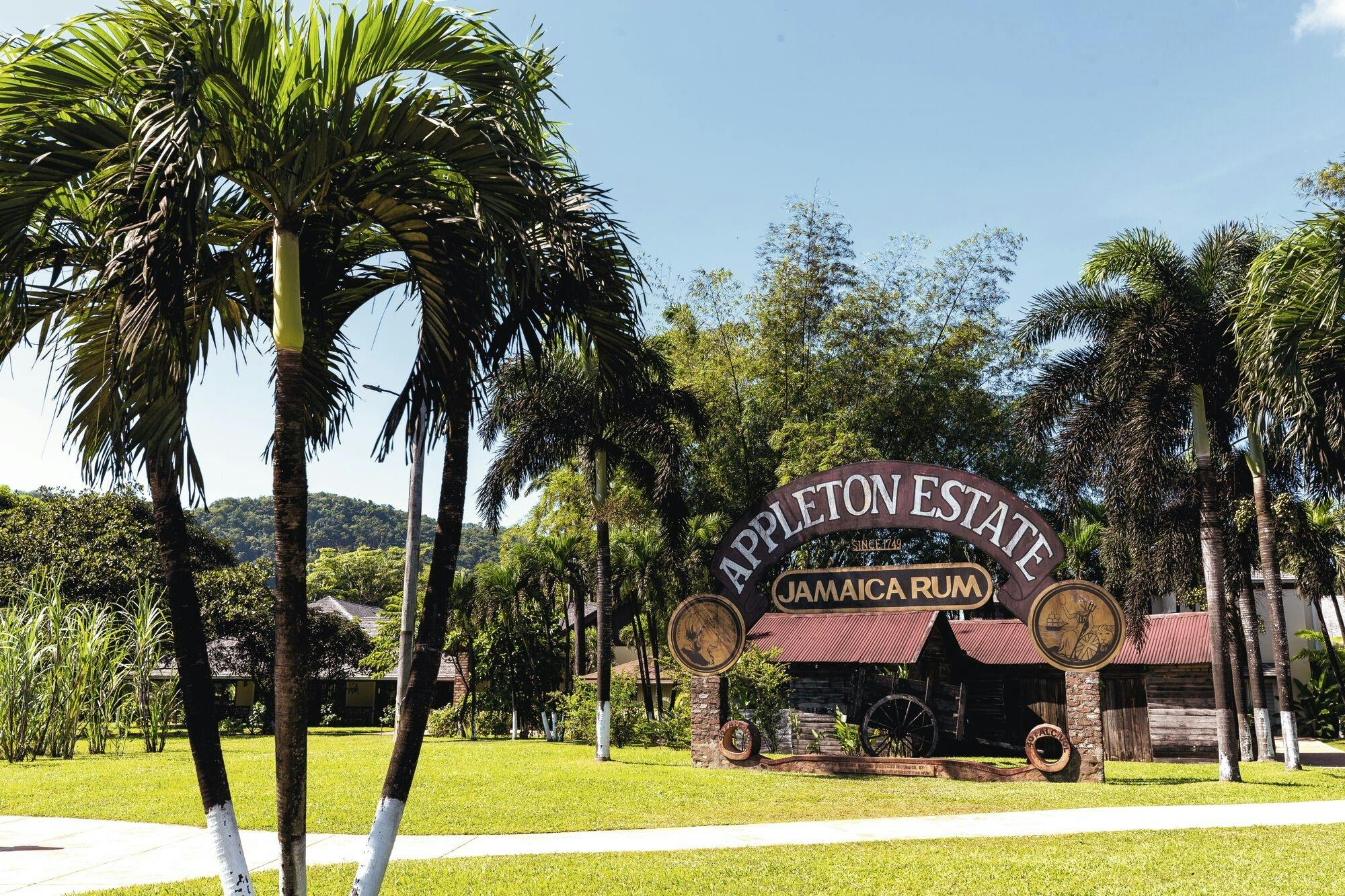 Appleton Rum, YS Falls and Pelican Bar private tour