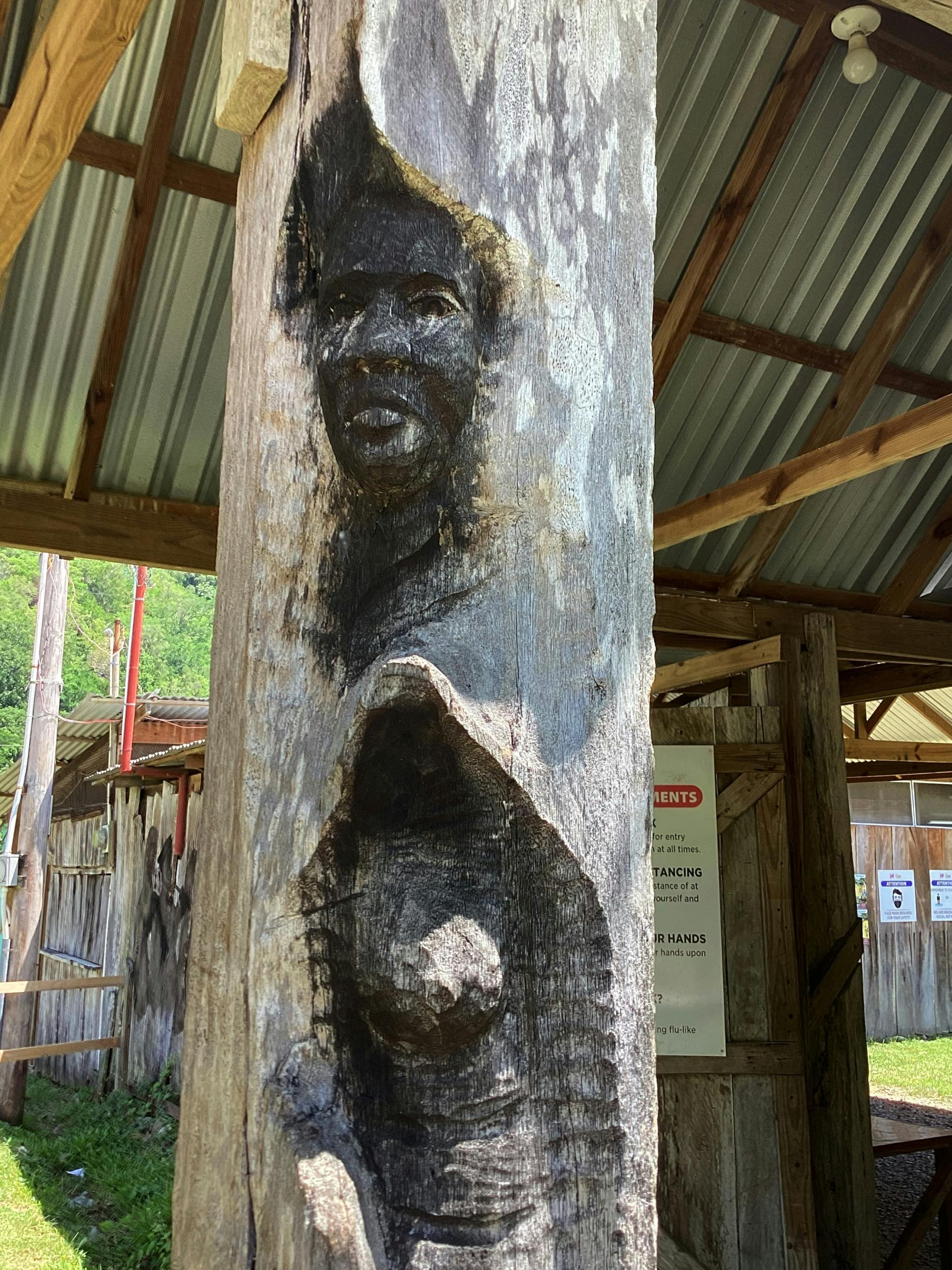 Spirit of the Maroons cultural tour with lunch in Jamaica