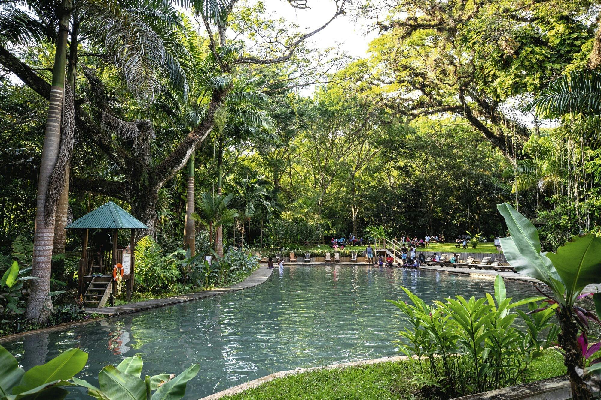 Appleton Rum, YS Falls and Pelican Bar private tour