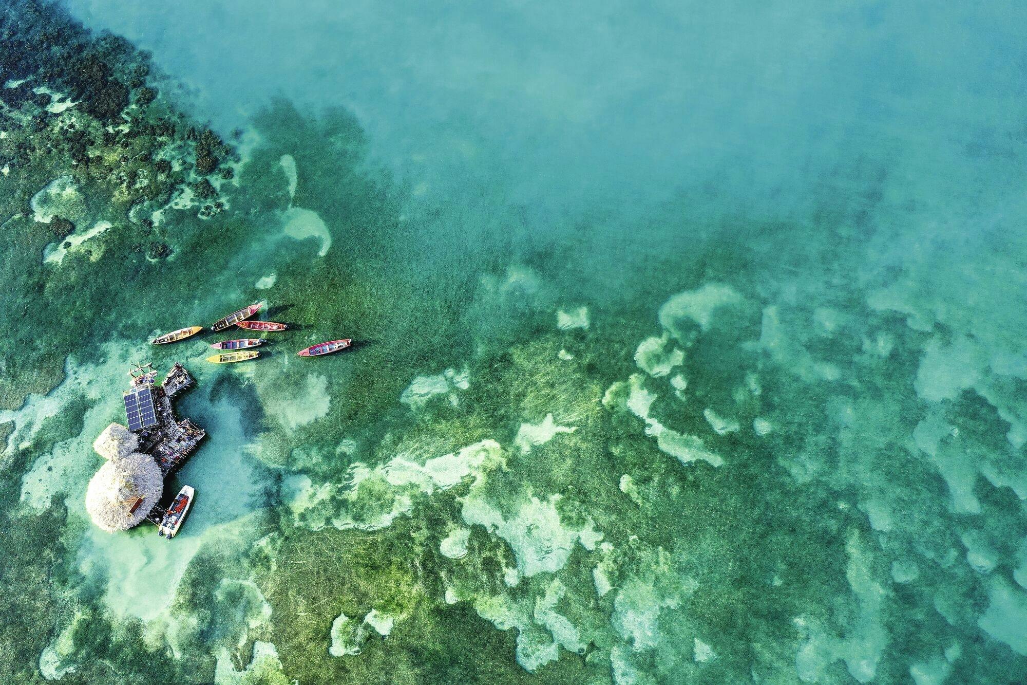 Appleton Rum, YS Falls and Pelican Bar private tour