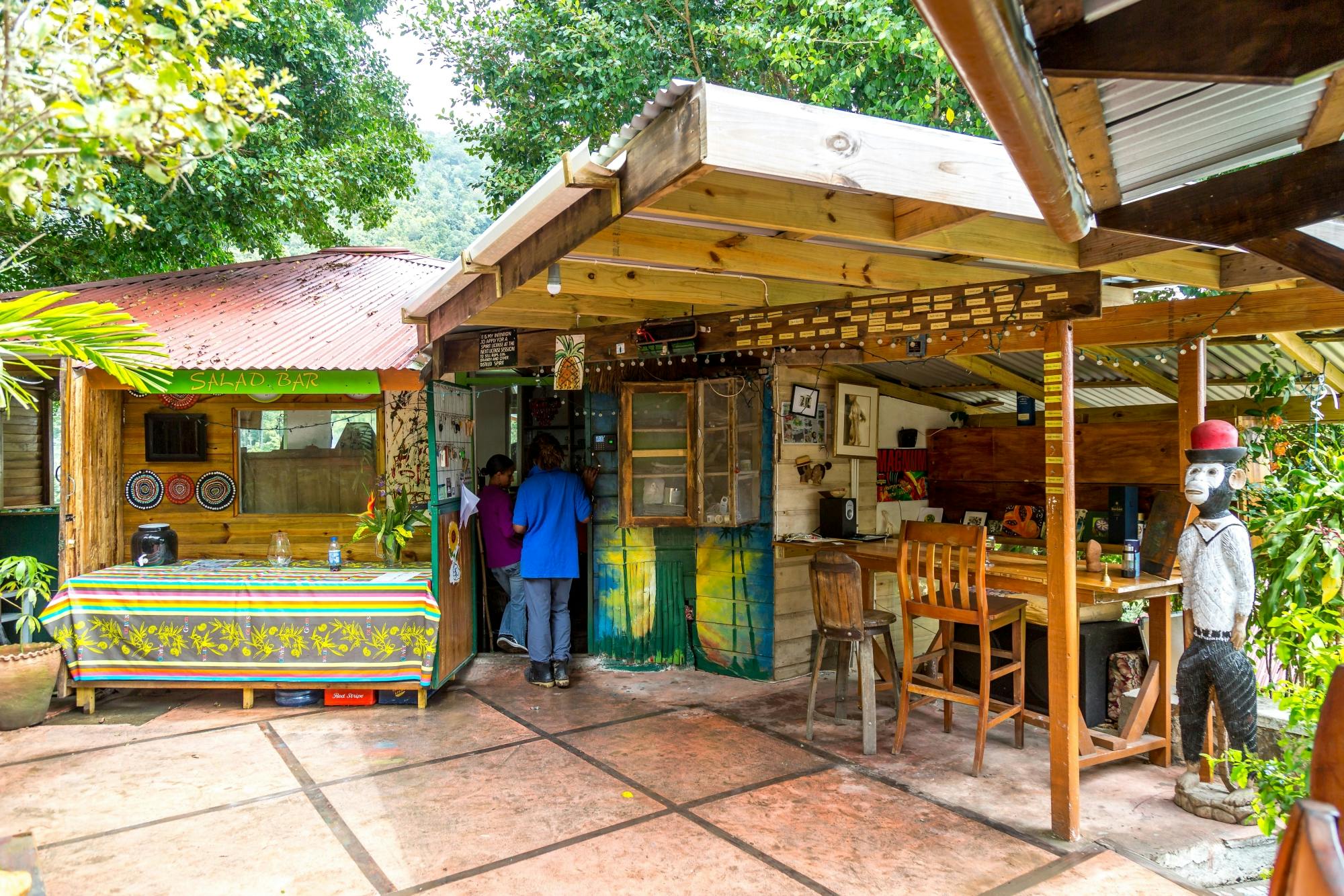 Kingston and Blue Mountains private tour with Bob Marley Museum