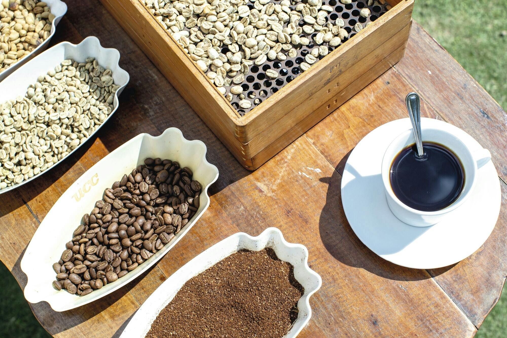 Kingston and Blue Mountains tour with Bob Marley Museum