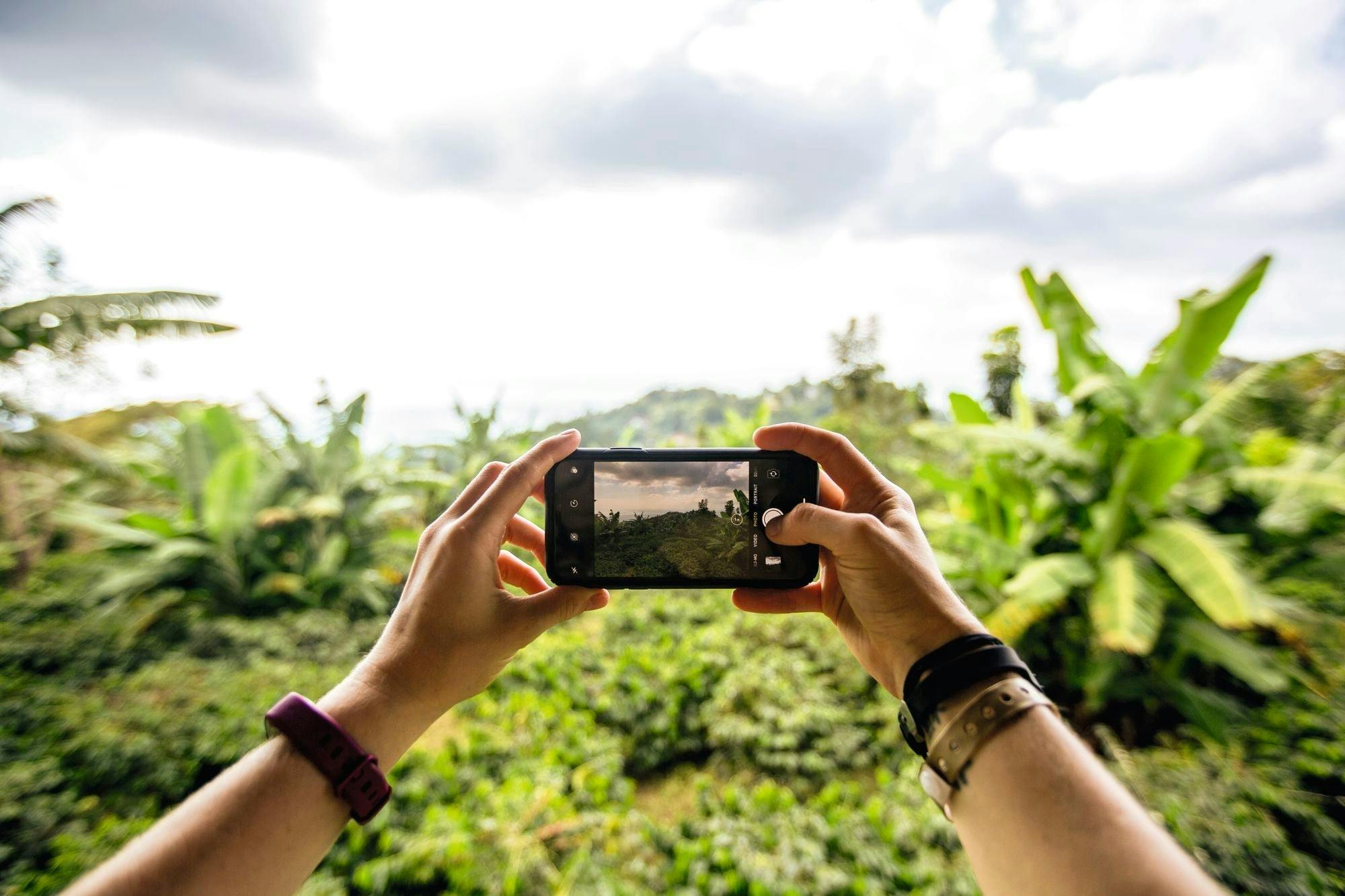 Kingston and Blue Mountains tour with Bob Marley Museum