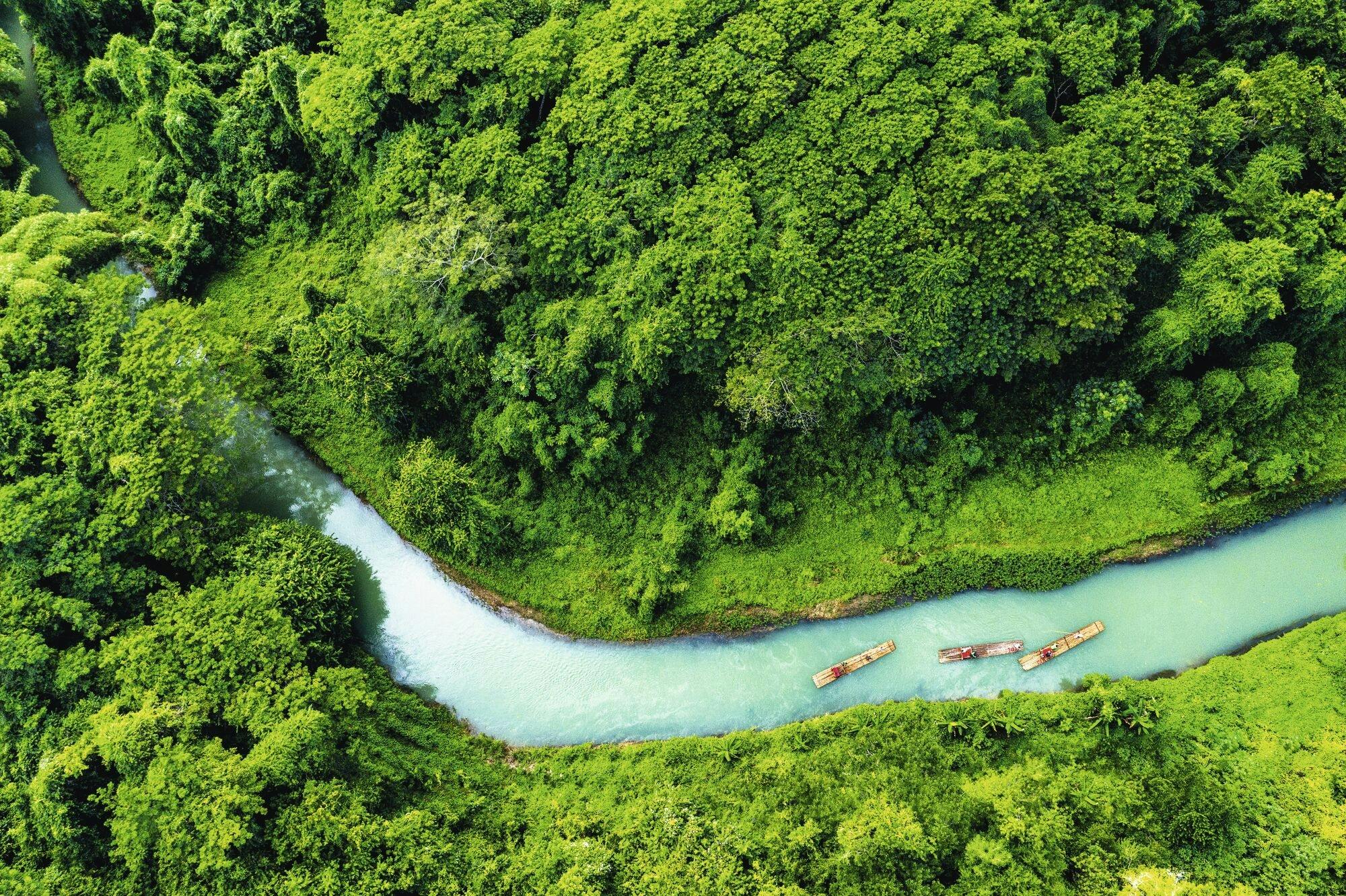Martha Brae rafting and Luminous Lagoon tour standard ticket