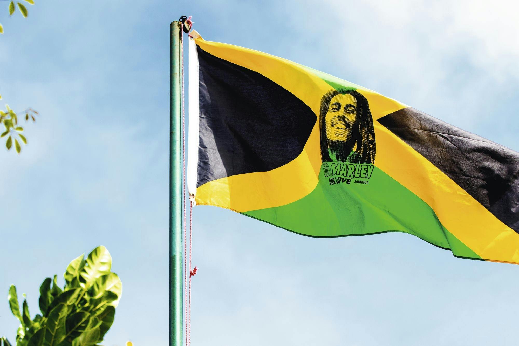 Kingston and Blue Mountains tour with Bob Marley Museum