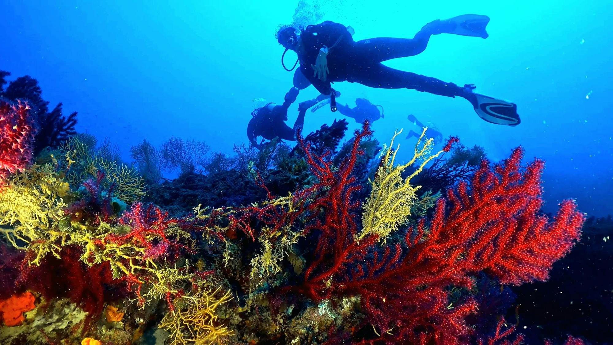 Bodrum scuba diving