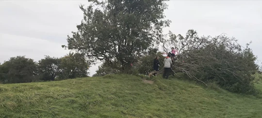 Self-guided audio walk at the mystical Hill of Tara