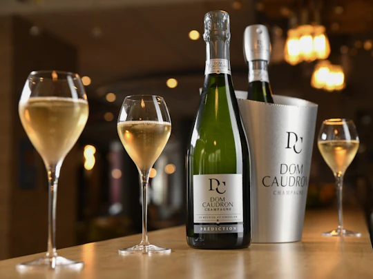 Dom Caudron Champagne House guided tour with tastings