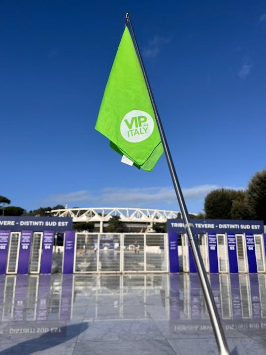 Guided tour of Rome's Stadio Olimpico and Foro Italico