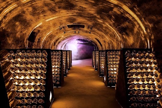Reims Champagne tasting tour with cellars and cathedral visit