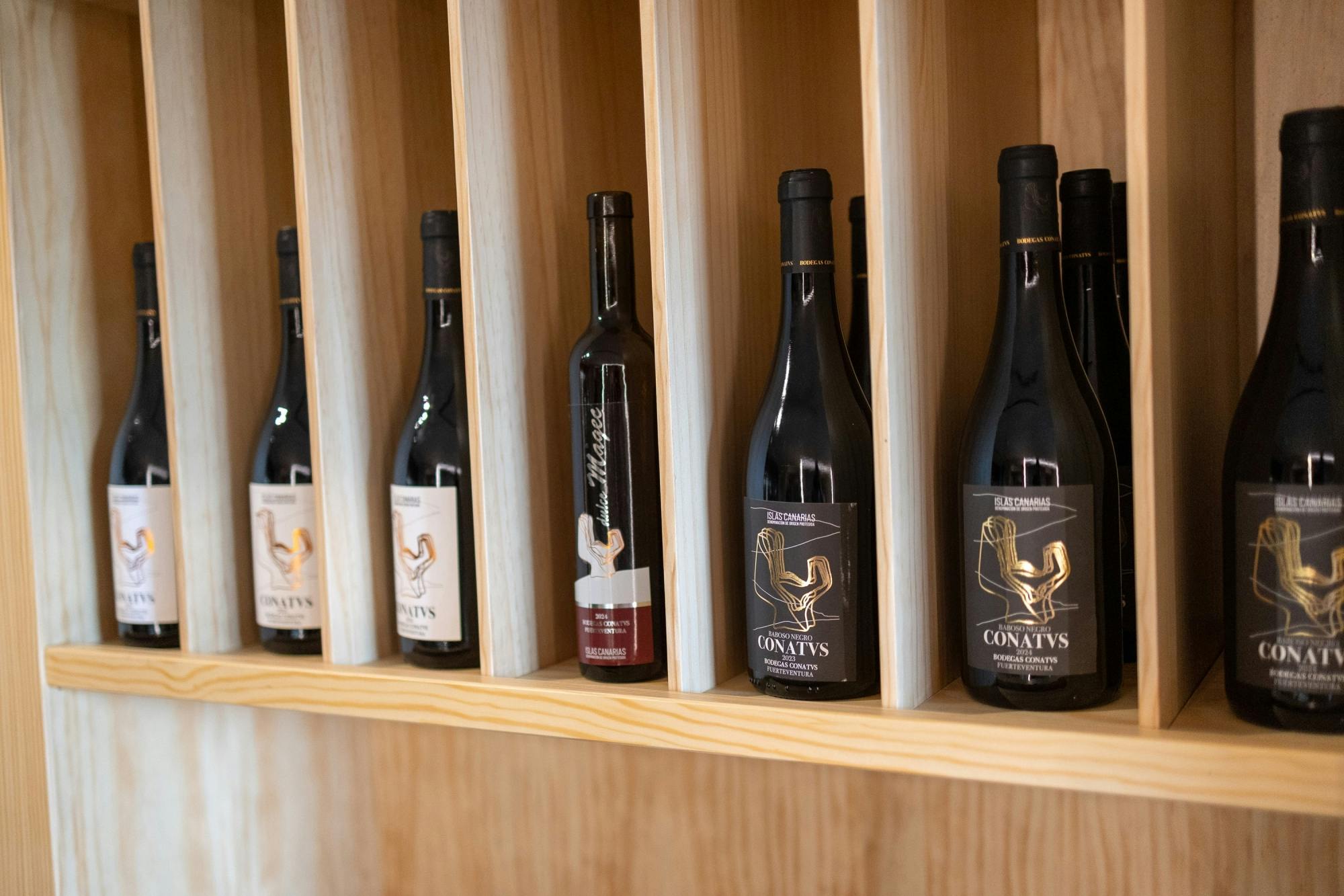 Adults wine-tasting tour of Conatvs Winery in Fuerteventura