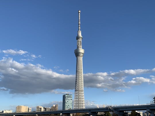 Tokyo: Biglietti per Monumenti e attrazioni