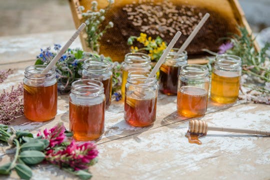 Experiencia apícola y cata de miel en Menorca