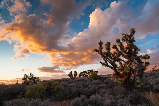 Excursão de observação de estrelas no Lovell Canyon a partir de Las Vegas