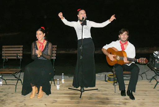 Flamenco sunset show and barbecue dinner in Marbella
