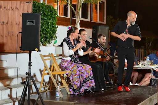 Flamenco sunset show and barbecue dinner in Marbella