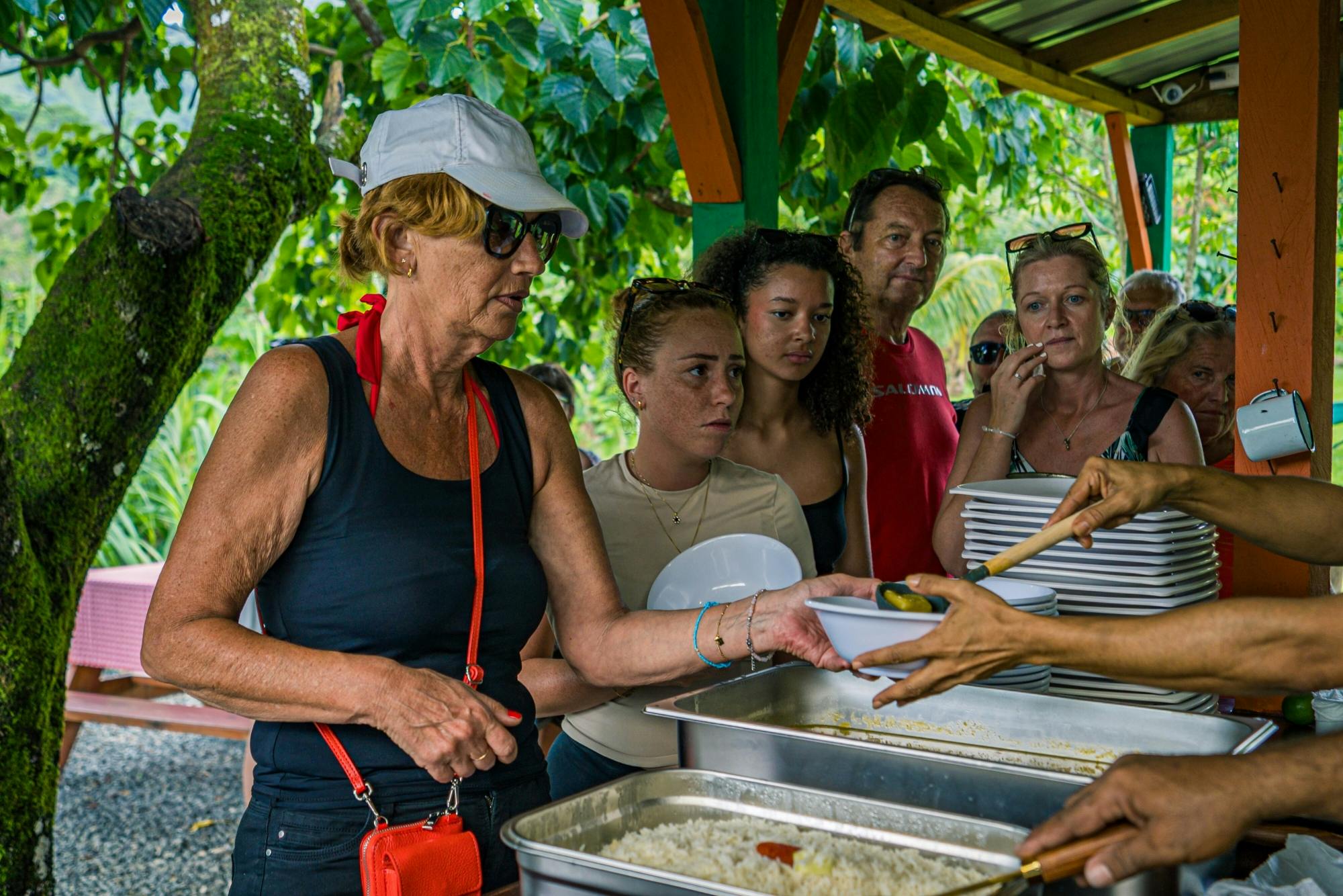Full-day Dominican culture experience from Punta Cana with lunch