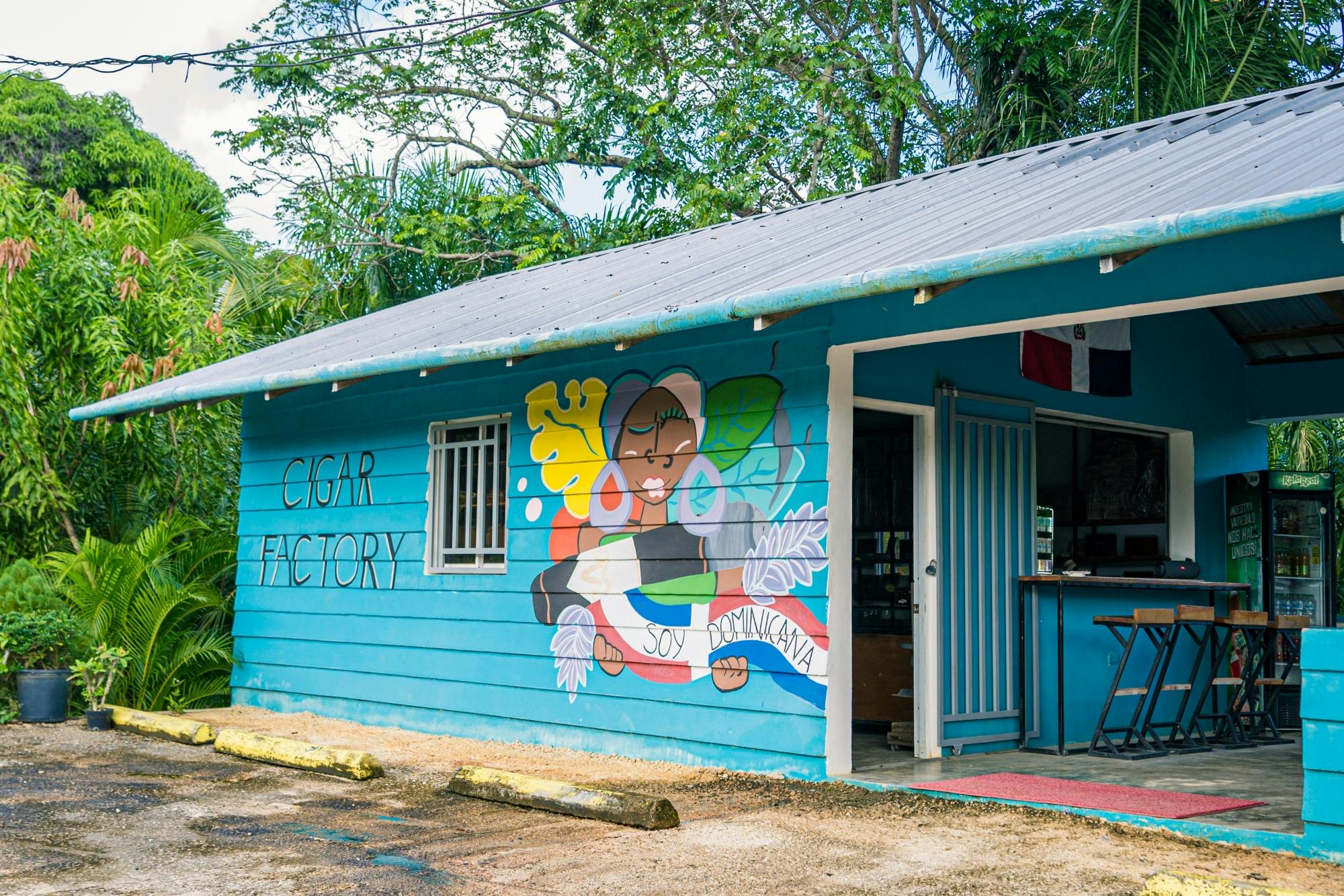 Full-day Dominican culture experience from Punta Cana with lunch