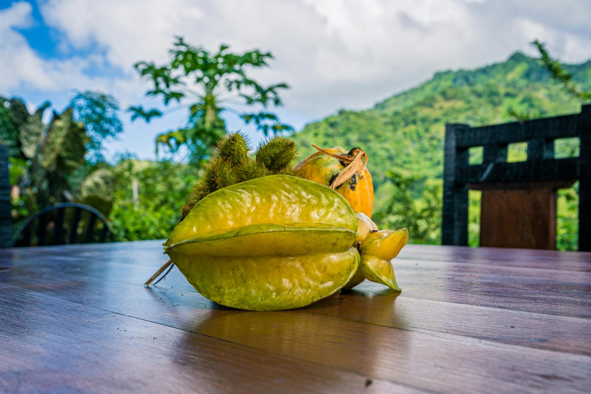 Full-day Dominican culture experience from Punta Cana with lunch
