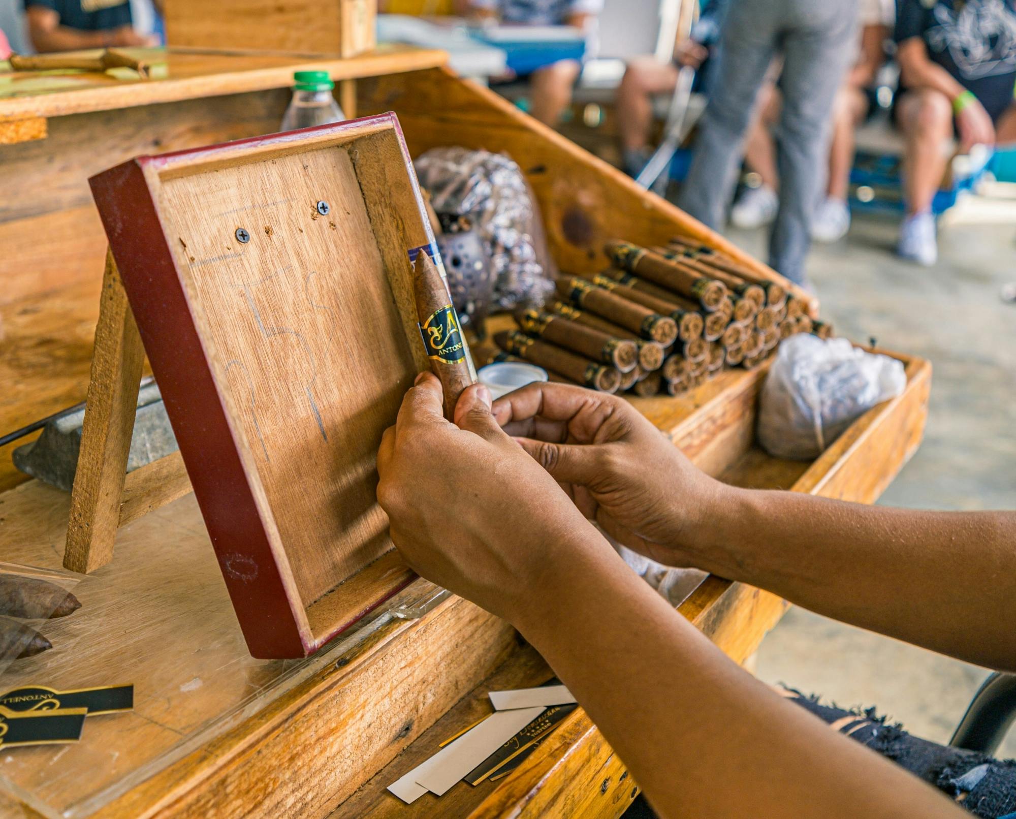 Full-day Dominican culture experience from Punta Cana with lunch