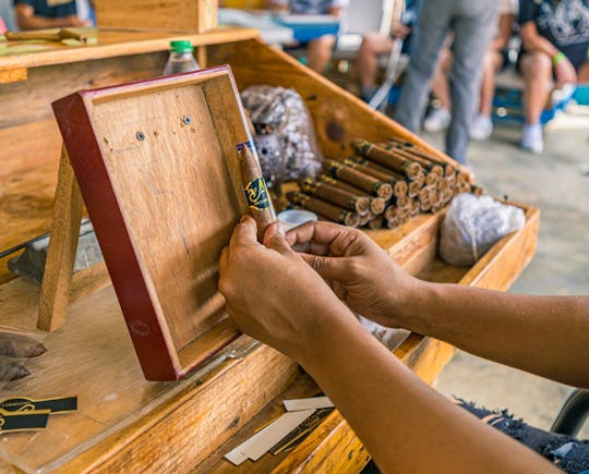 Full-day Dominican culture experience from Punta Cana with lunch