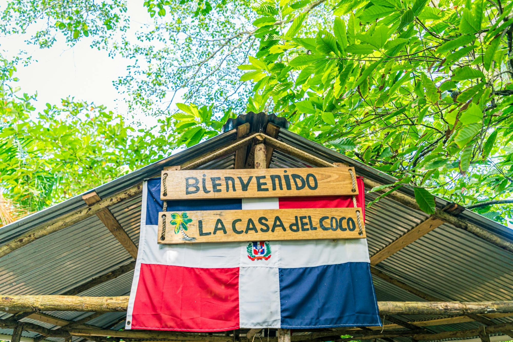 Full-day Dominican culture experience from Punta Cana with lunch