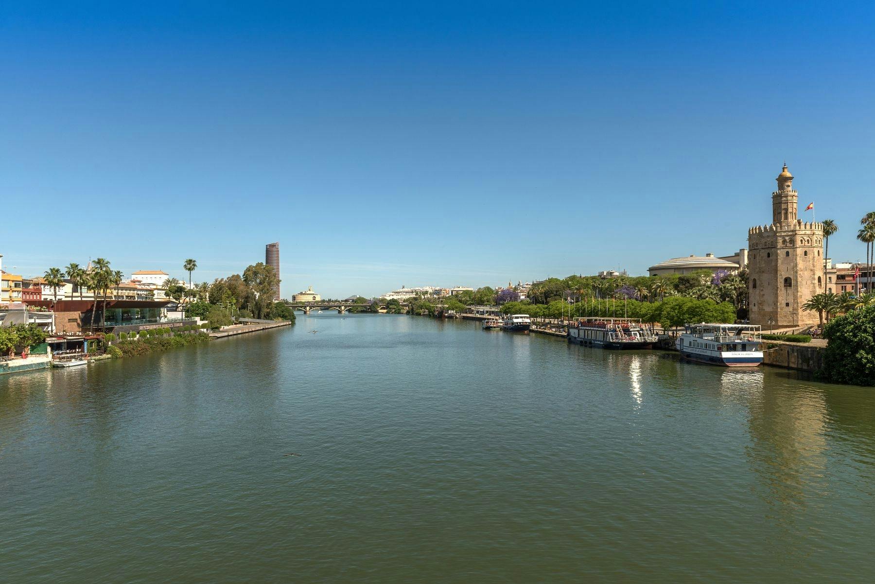 Croisière touristique à Séville sur le fleuve Guadalquivir