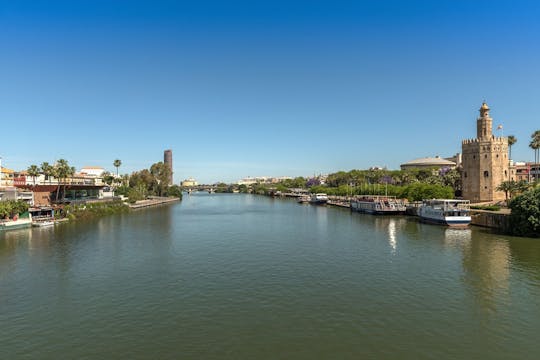 Crociera a Siviglia con visita della città sul fiume Guadalquivir
