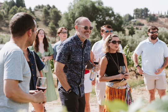 Madrid vineyard wine tour with tastings and lunch