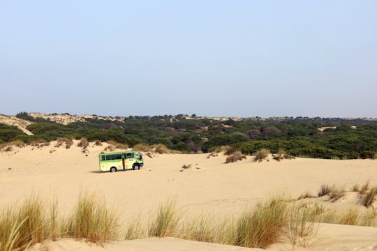 Parc national de Doñana avec visite de Sanlúcar de Barrameda