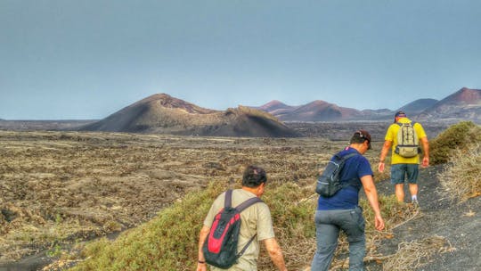 Escursione al Parco Naturale Los Volcanes da sud