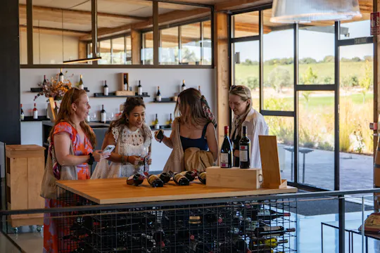 Ribera del Duero - excursão de dia inteiro à vinícola a partir de Madrid