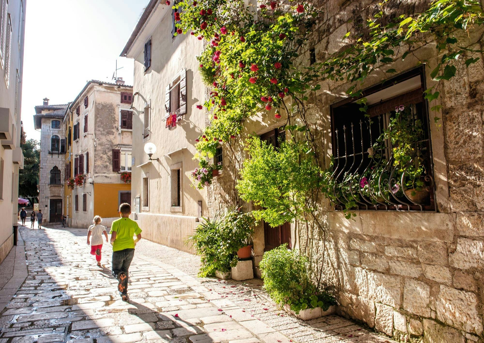 Ancient Istria Tour from Rovinj including Pula and Lunch