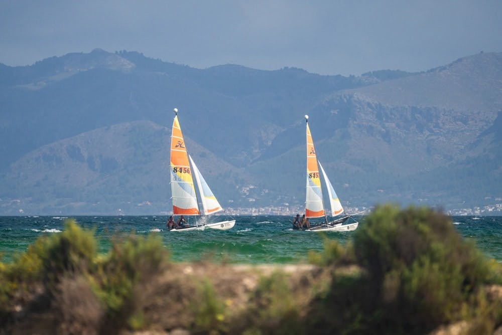 Catamaran cruise in Alcudia Bay