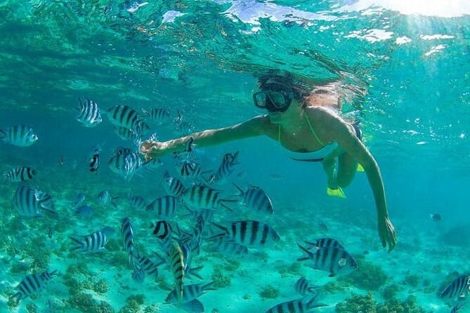 Los Cabos sailing and snorkel tour with glass factory visit
