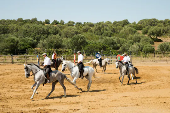 Tenuta di campagna El Carrascal